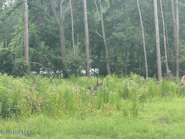 751 Stack Turner Rd, Home with 0 bedrooms, 0 bathrooms and null parking in Chadbourn NC | Image 12