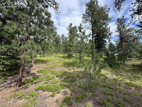 116 Happy Valley Rd, Manitou Springs, CO, 80829 | Card Image