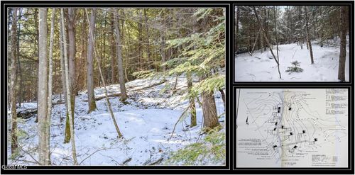 20 Carriage Knolls Road, Chester, NY, 12817 | Card Image