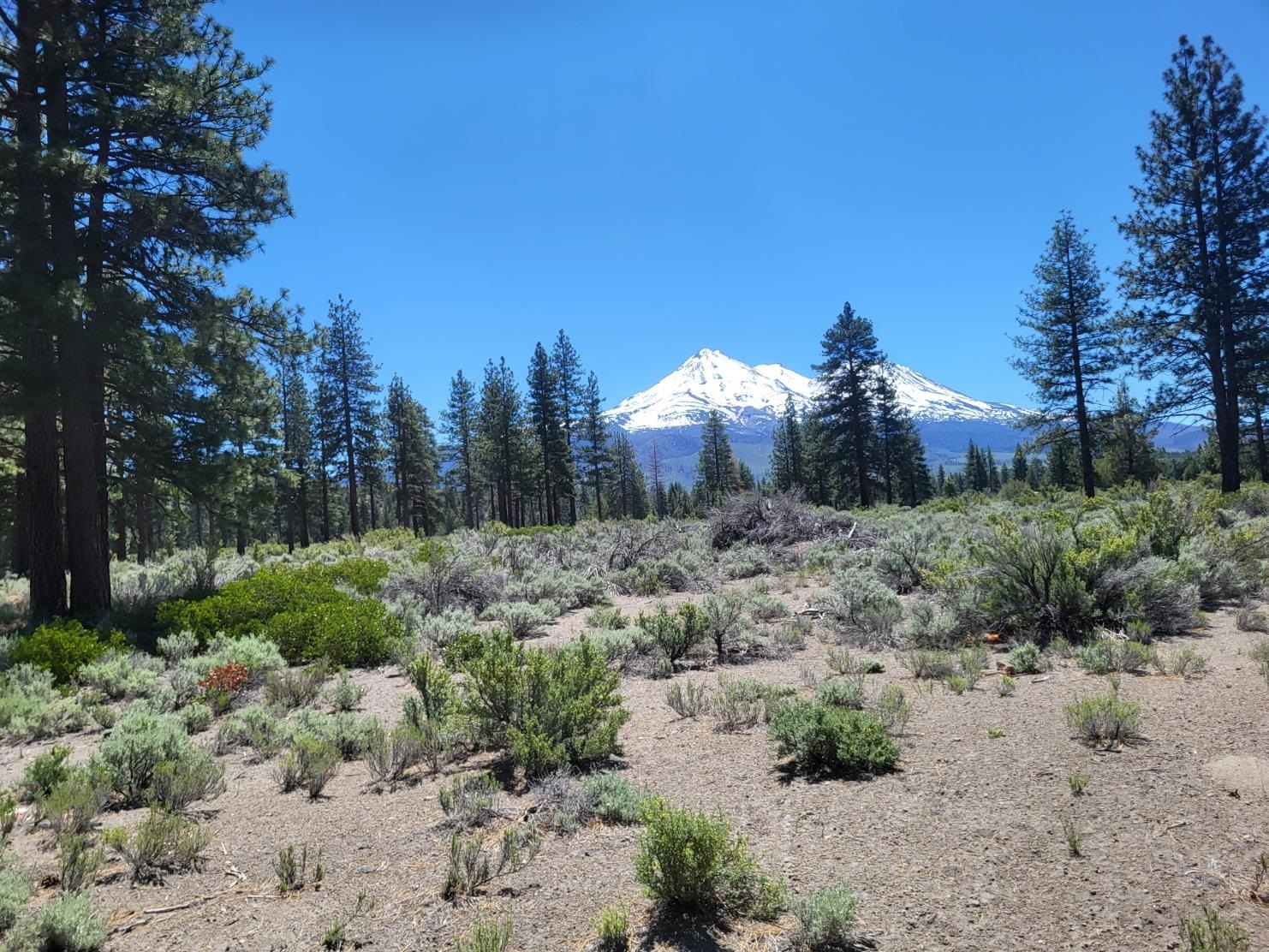 Land in Montague