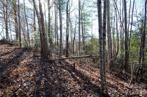 8-0 Wildwood Mountain Ln, Marion, NC, 28752 | Card Image