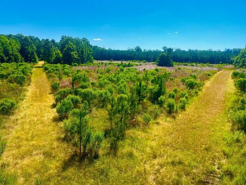 TBD Lewis Ln, Gloster, MS, 39638 | Card Image