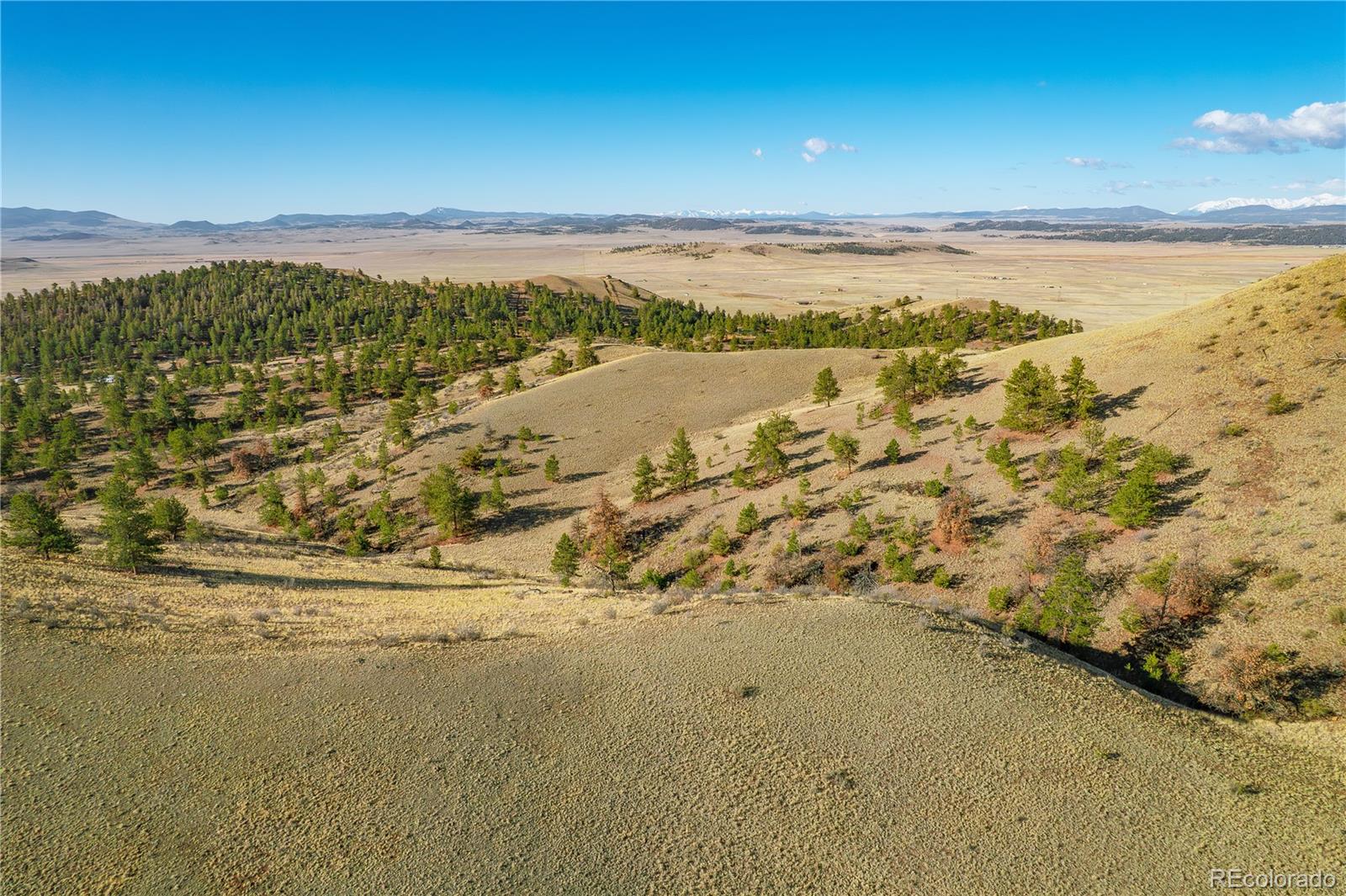 Land in Hartsel 5