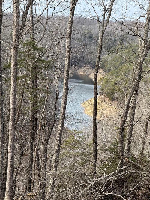 0 Grider Hill Dock Rd, Albany, KY, 42602 | Card Image