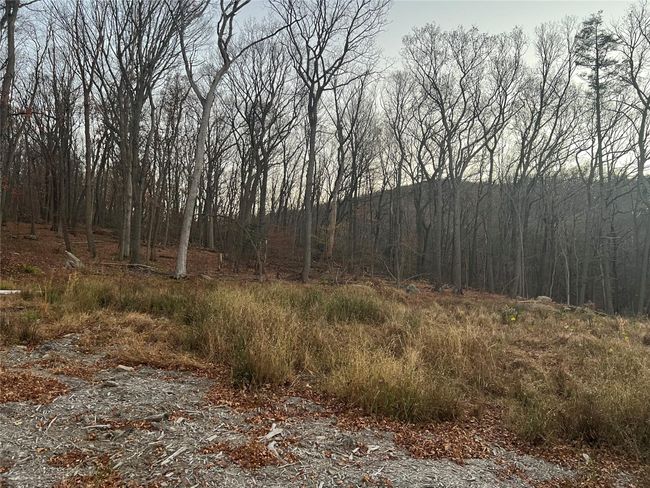 View of nature | Image 8
