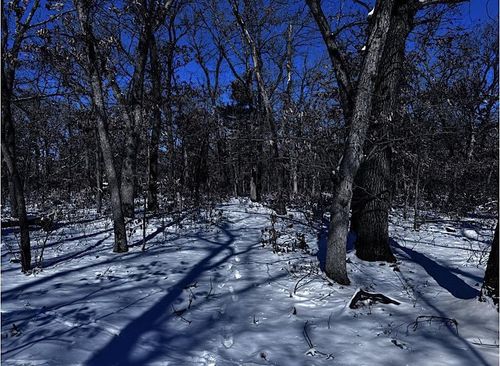 Lot 10 Bayview Ln, Lyndon Station, WI, 53944 | Card Image