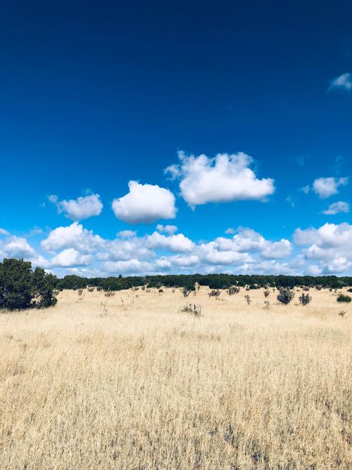 10 Mission Hills Rd, Estancia, NM, 87016 | Card Image