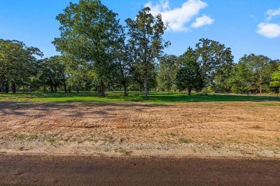 Lot 1 Alans Lane, Home with 0 bedrooms, 0 bathrooms and null parking in New Waverly TX | Image 2