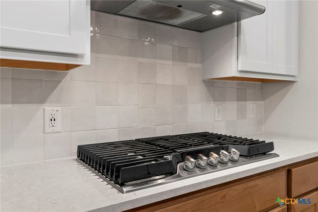 1845 Nettletree Rd, House other with 4 bedrooms, 4 bathrooms and null parking in New Braunfels TX | Image 14
