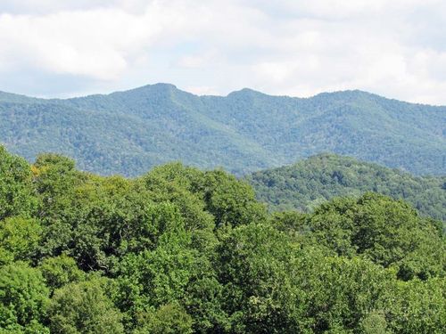 TBD Little Laurel Rd, Creston, NC, 28615 | Card Image