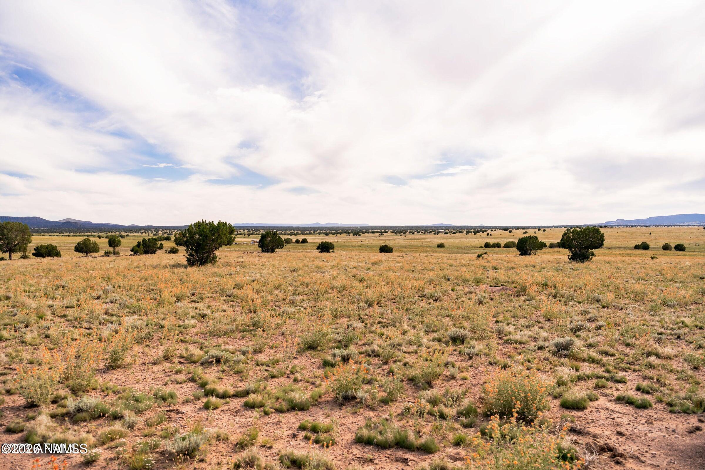 Land in Ash Fork