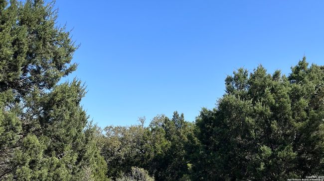 0 State Highway 46 W, Home with 0 bedrooms, 0 bathrooms and null parking in Spring Branch TX | Image 9