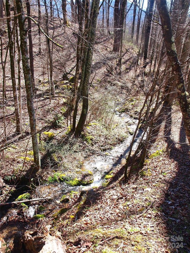 664 Woodfin Rd, House other with 2 bedrooms, 1 bathrooms and null parking in Sylva NC | Image 27
