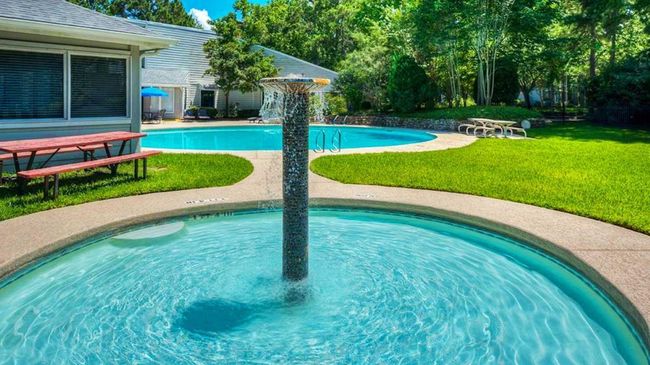 731 N Forest Cove Loop, Home with 0 bedrooms, 0 bathrooms and null parking in Coldspring TX | Image 7