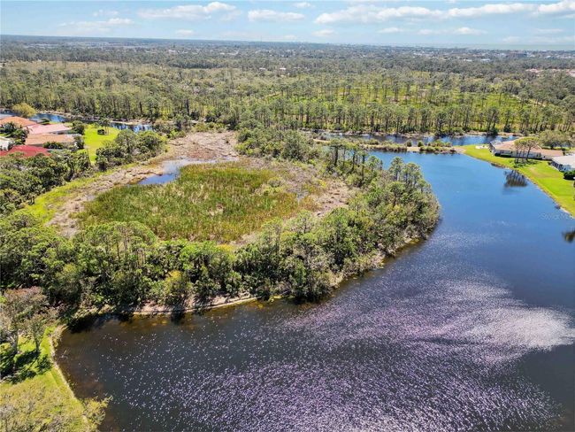 742 Shadow Bay Way, House other with 4 bedrooms, 3 bathrooms and null parking in OSPREY FL | Image 56