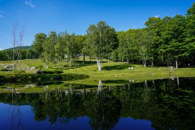 376 Windward Hill, House other with 4 bedrooms, 4 bathrooms and null parking in Dorset VT | Image 1