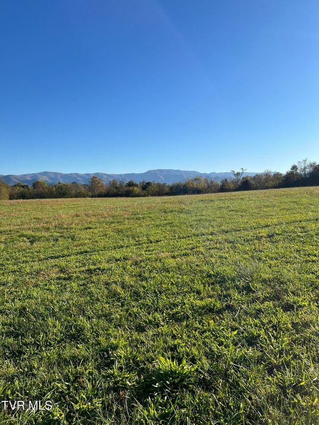 185 Lester Snapp Rd, Home with 0 bedrooms, 0 bathrooms and null parking in Limestone TN | Image 12