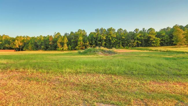 LOT-24-MAJESTIC-OAKS - 115 Majestic Oaks, Home with 0 bedrooms, 0 bathrooms and null parking in De Berry TX | Image 5