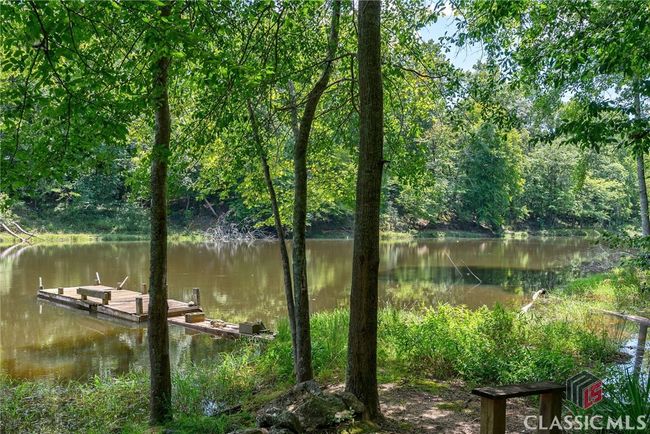 724 Bertha Willis Rd, House other with 3 bedrooms, 3 bathrooms and 4 parking in Carlton GA | Image 58