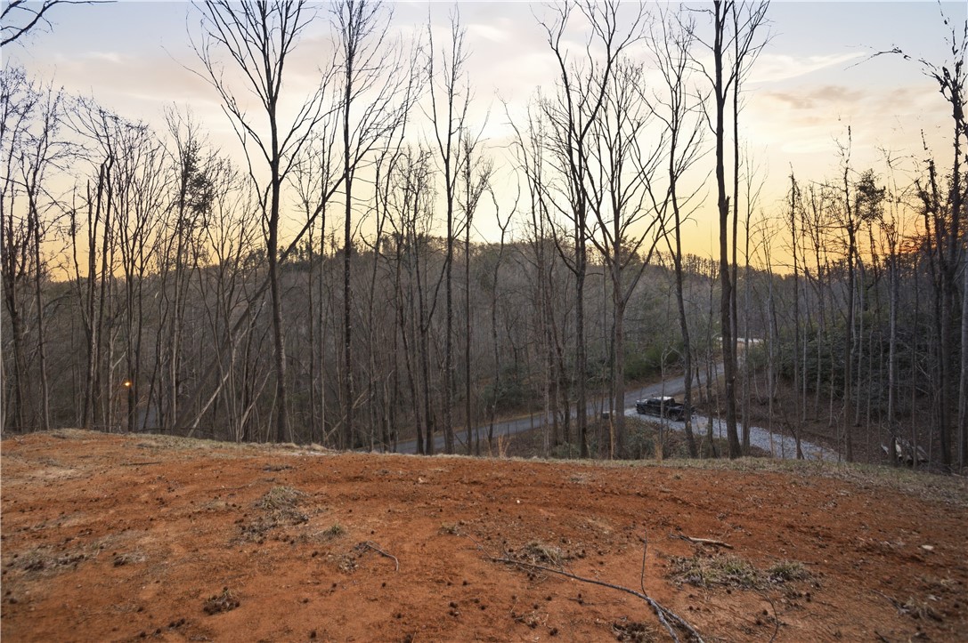 Land in Landrum 5