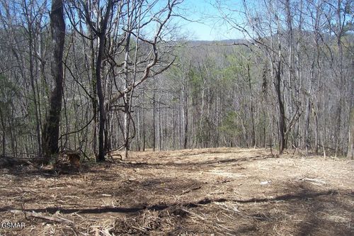 12419 Chapman Highway, Seymour, TN, 37865 | Card Image