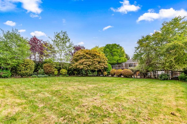 View of green lawn | Image 38