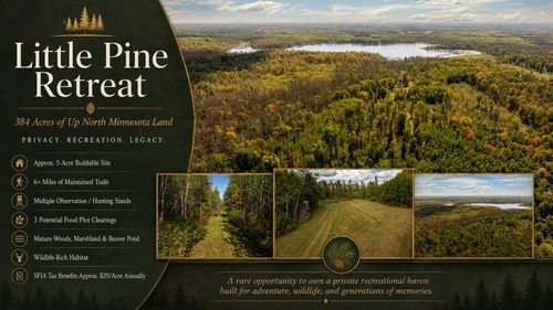 384 Acres TBD Little Pine Road, Emily, MN, 56447 | Card Image