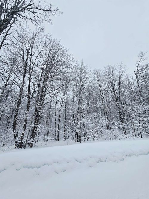 4647 Hillview Dr, Elmira, MI, 49730 | Card Image