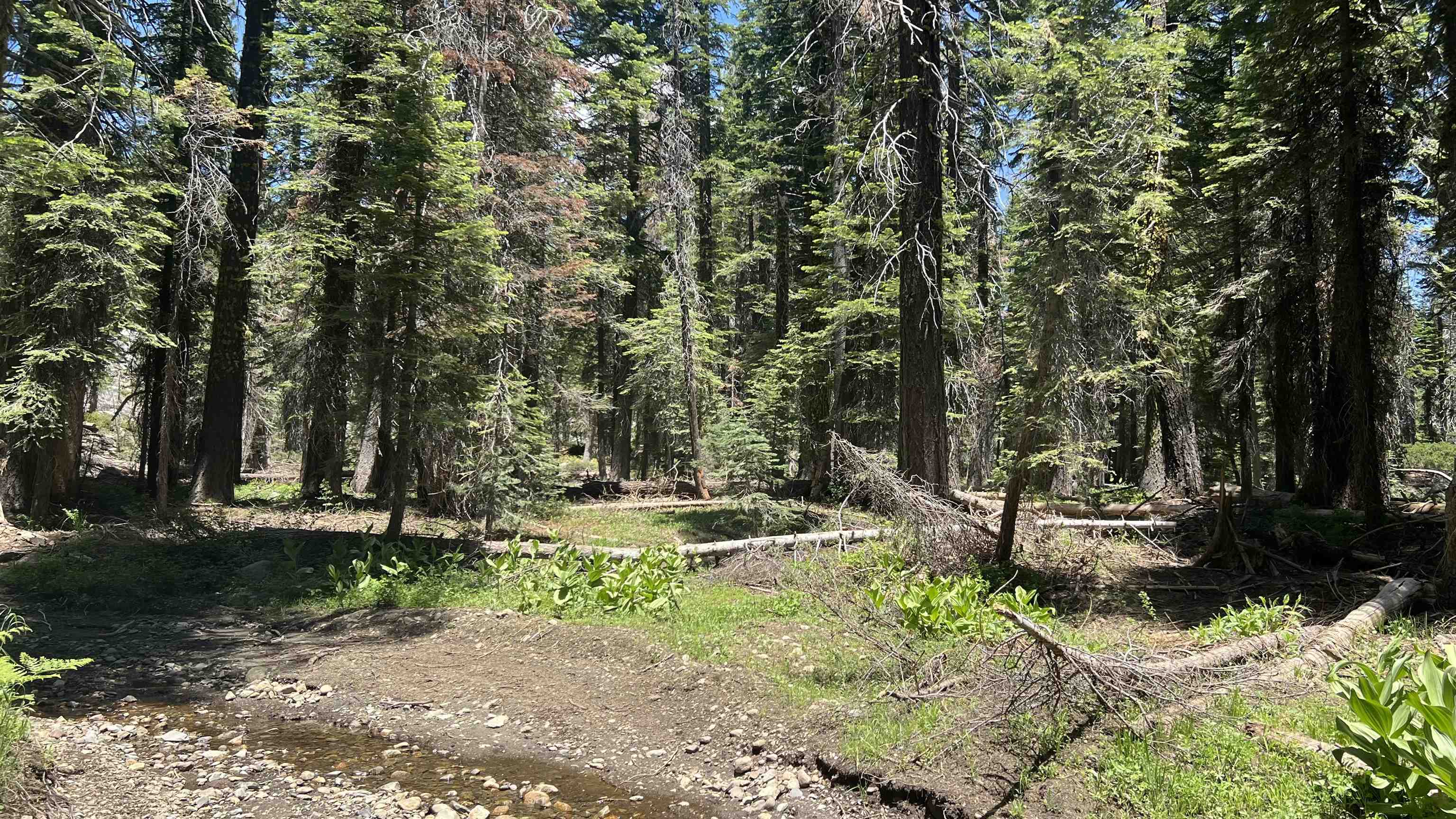 Land in Soda Springs 2