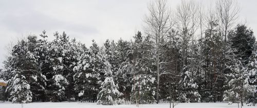 0 Airport Rd, Northbrook, ON, K0H2G0 | Card Image