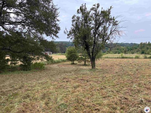 TBD 12.49 CR 1243, Linden, TX, 75563 | Card Image