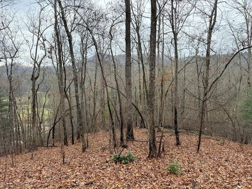 101 Flaming Ridge Dr, Hayesville, NC, 28904-0470 | Card Image