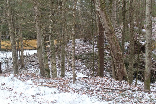 LOT-17 - 000 Wetherbee Farm Rd, Home with 0 bedrooms, 0 bathrooms and null parking in Lisbon NH | Image 33
