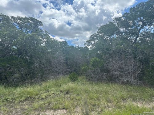 275 Serenity Pass, Spring Branch, TX, 78070-2203 | Card Image