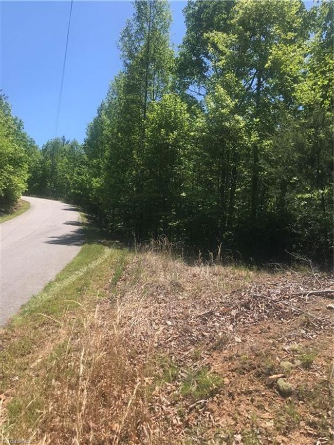 19 Rose Briar Rd, Home with 0 bedrooms, 0 bathrooms and null parking in Boomer NC | Image 24