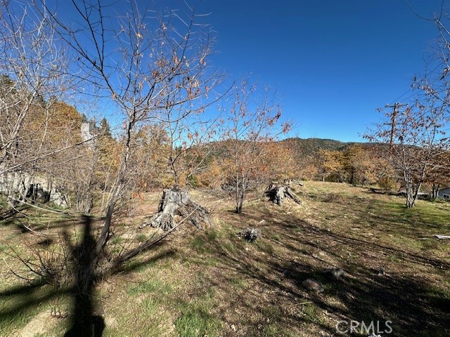 Land in Running Springs 5