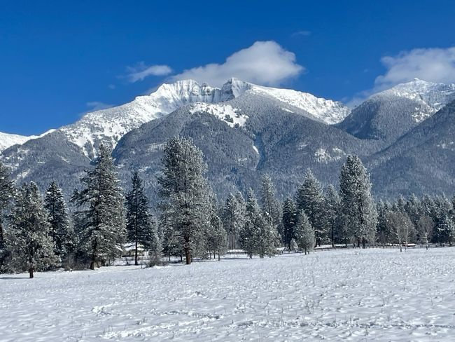 1 Eagle Pass Road, Home with 0 bedrooms, 0 bathrooms and null parking in Charlo MT | Image 5