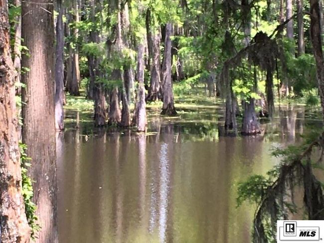 9382 Desiard Trce, Home with 0 bedrooms, 0 bathrooms and null parking in Sterlington LA | Image 6