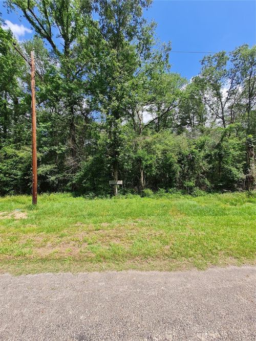 TBD Holly Ln, New Caney, TX, 77357 | Card Image