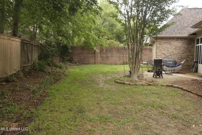 Backyard | Image 15