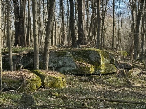 0 Lead Mine Rd, Rossie, NY, 13679 | Card Image