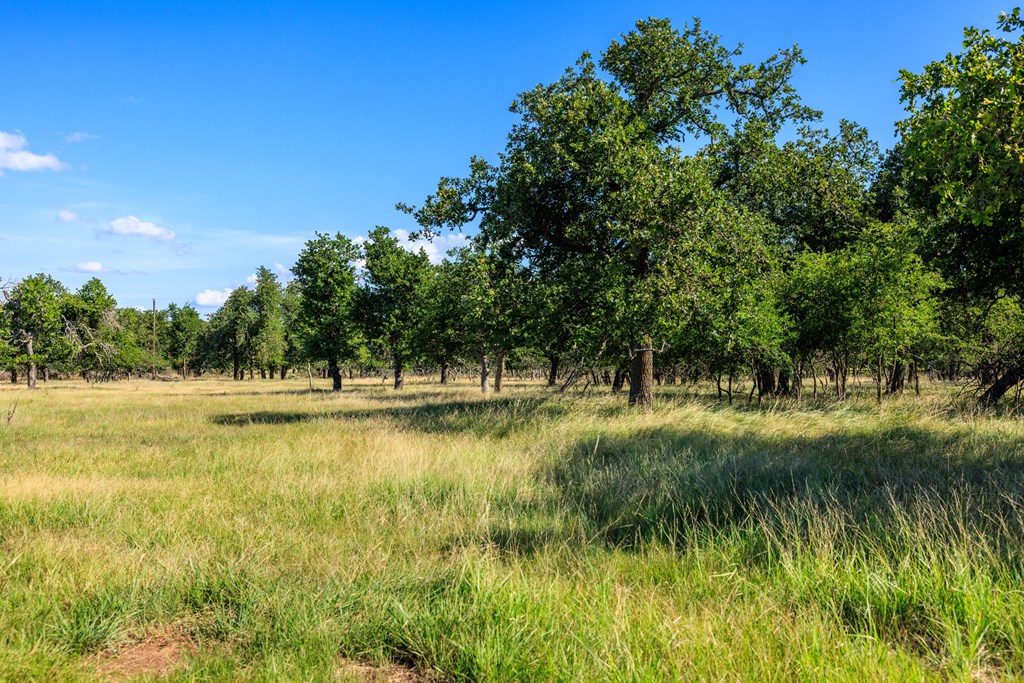 Land in Fredericksburg 3