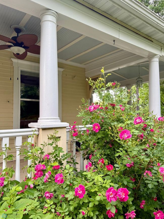 flower gardens | Image 60
