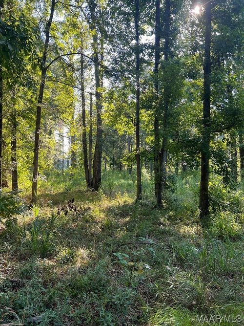1506 Barganier Rd, Cecil, AL, 36013-3718 | Card Image