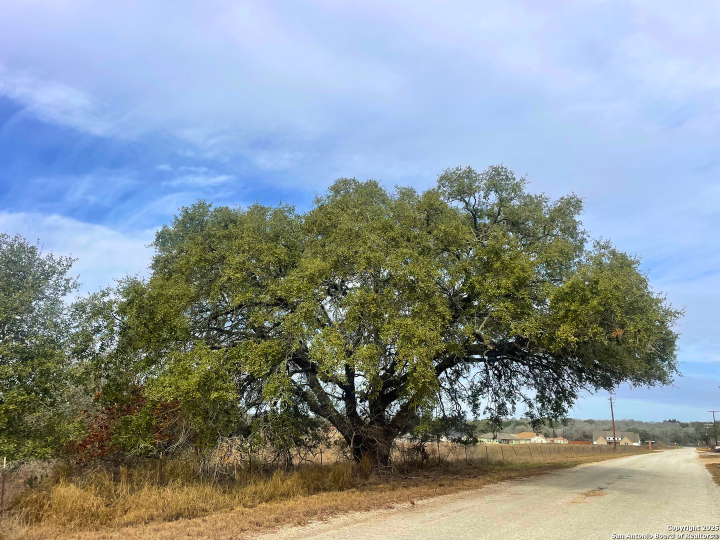 Land in Poteet 3