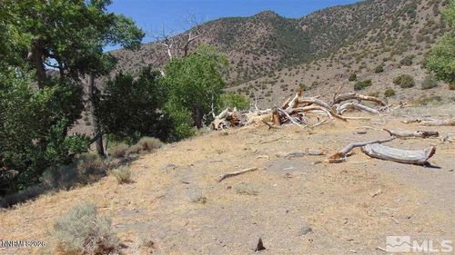 429110 Sutro Springs Rd, Dayton, NV, 89403 | Card Image