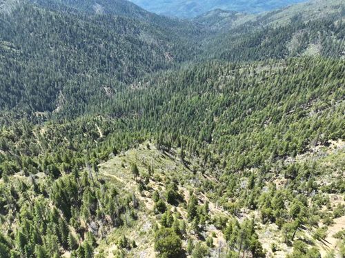 2510 Fs Rd, Hyampom, CA, 96046 | Card Image