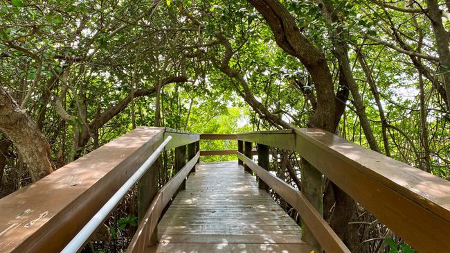 APT-504 - 5059 N Highway A1a, Condo with 2 bedrooms, 2 bathrooms and null parking in Hutchinson Island FL | Image 44