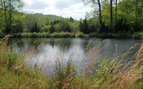 25 Tusquittee Xing, Hayesville, NC, 28904 | Card Image