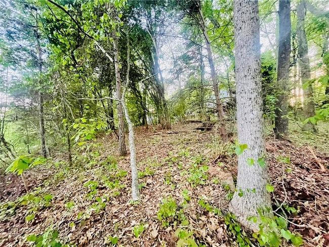 7675 Lanier View Rdg, House other with 3 bedrooms, 2 bathrooms and 2 parking in Cumming GA | Image 58